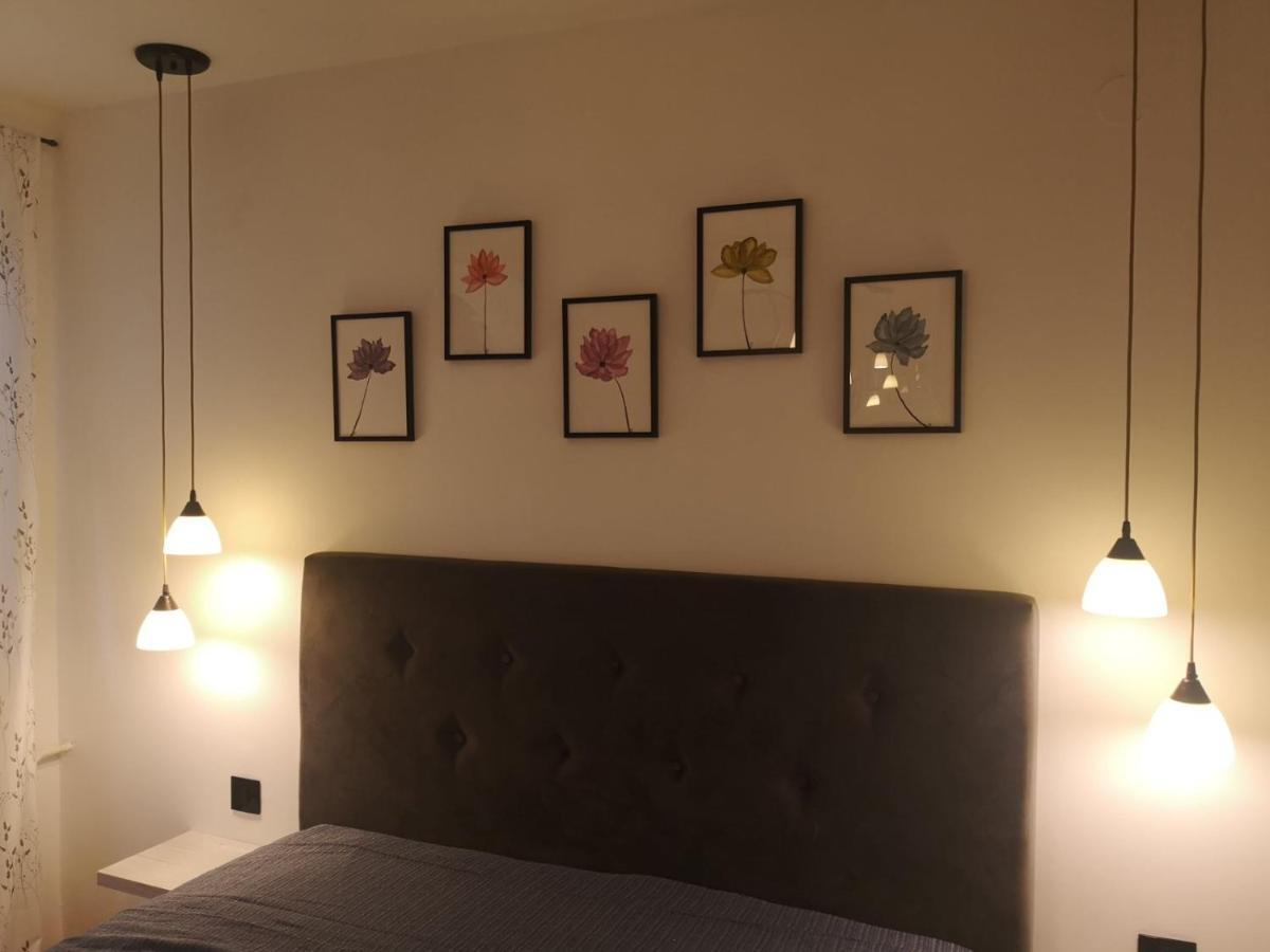 Apartman Darvin / Lux Belgrad Exterior foto